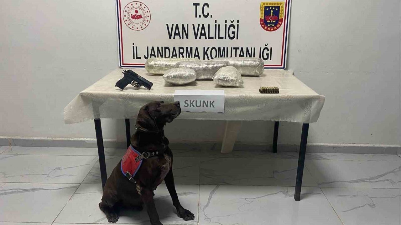 Van Başkale’de Jandarmadan Başarılı Operasyon: Skunk ve Kaçak Malzeme Ele Geçirildi
