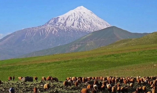 KARAKOYUNLU DEVLETİ'NİN IĞDIR'A SİYASİ, SOSYAL VE KÜLTÜREL ETKİLERİ. :