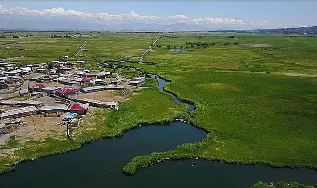 Ağrı Dağı'nın Gözyaşı: Karasu'nun Sessiz Ağıdı
