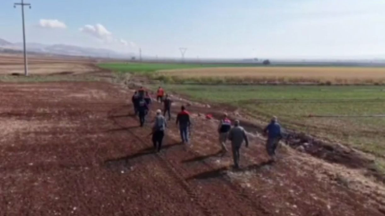 Araban Ovası’nda Yaban Domuzu Sürek Avı: Çiftçinin Mahsulü Koruma Altında