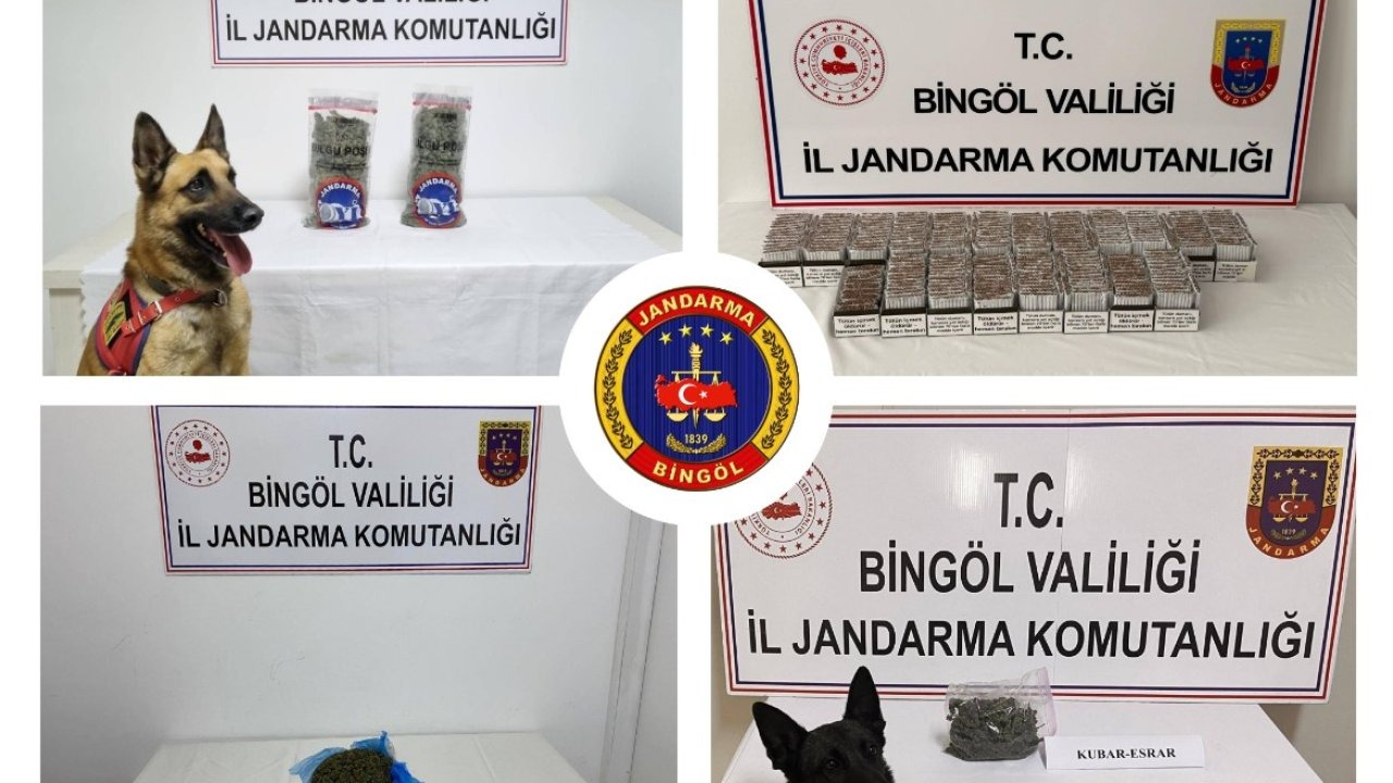 Bingöl'de Jandarma Operasyonlarında 32 Gözaltı, 2 Tutuklama