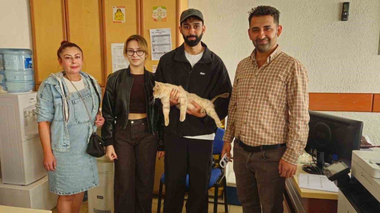Çipli Kedi "Şira", Üniversite Öğrencileri Sayesinde Sahibine Kavuştu: Tarım Müdürlüğü'nden Çip Taktırma Çağrısı