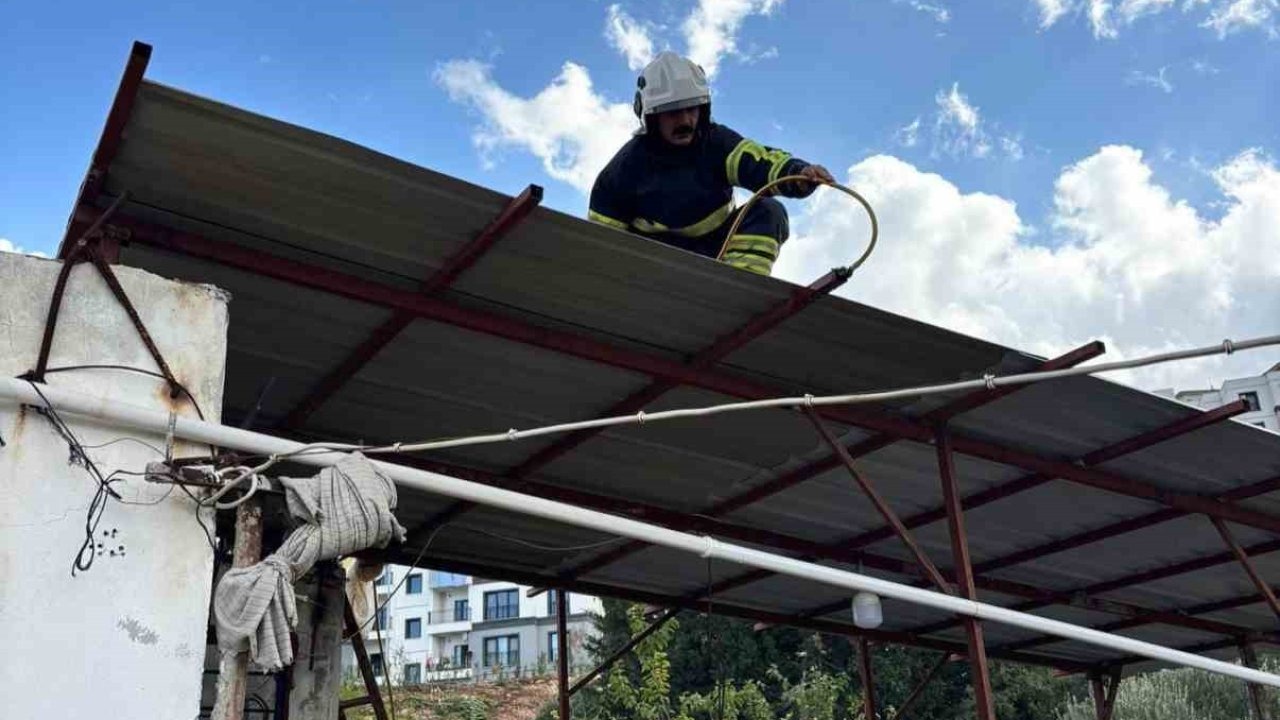 Hatay’da Sıcakların Etkisiyle Evlere Giren İki Yılan İtfaiye Tarafından Yakalandı