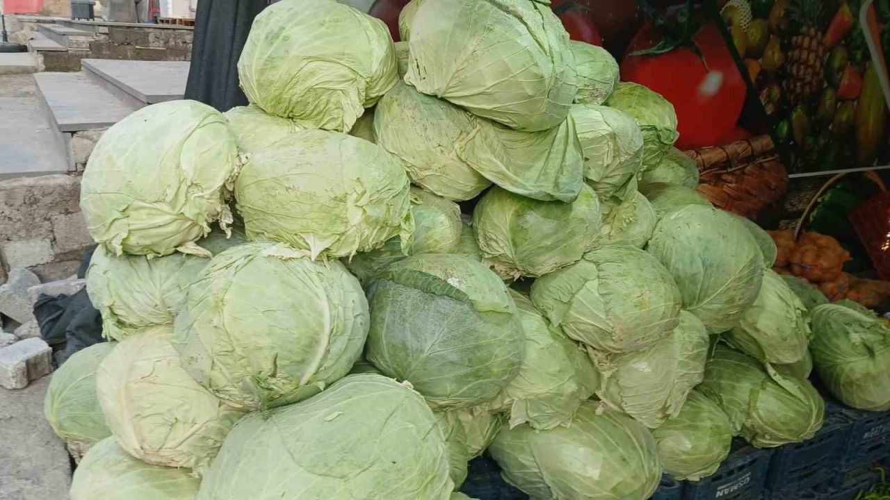 Muş’un Lahanaları Kulp Tezgahlarında: Yöresel Ürünlere Yoğun İlgi!