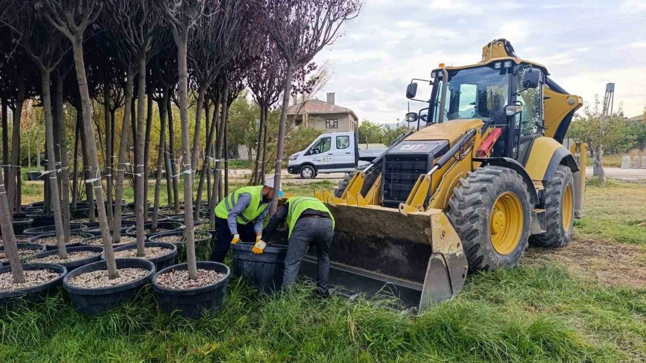 Van Büyükşehir Belediyesi'nden Yeşil Şehir Hamlesi: Yeni Peyzaj Çalışmaları