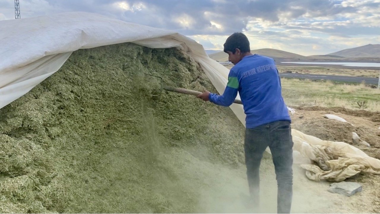 Ağrı'da Kış Öncesi Saman Telaşı: Çiftçiler Hayvan Beslenmesi İçin Hazırlıkta