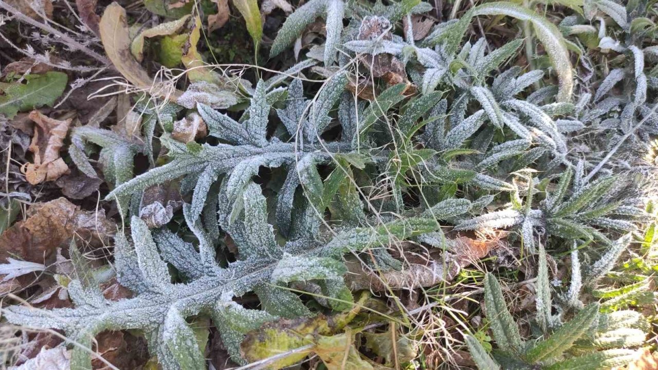 Ardahan Göle, -6,4 Dereceyle Türkiye'nin En Soğuk Yeri Oldu