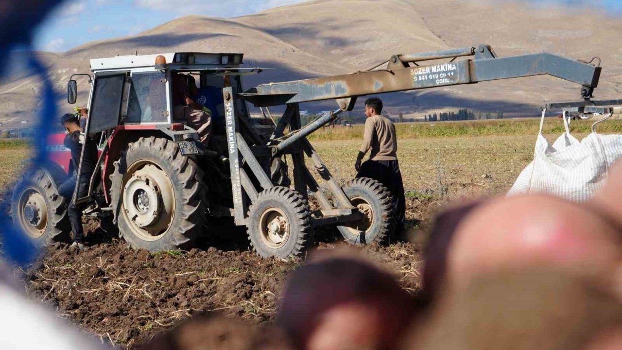 Bayburtlu Patates Üreticisinin İşçi Çilesi: Hasat İçin 150 İranlı Çalıştırılıyor