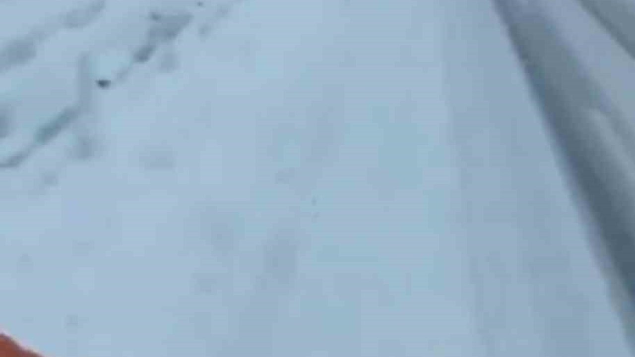 Bingöl'de Yüksek Rakımlı Bölgelerde Kar Yağışı Etkili Oldu