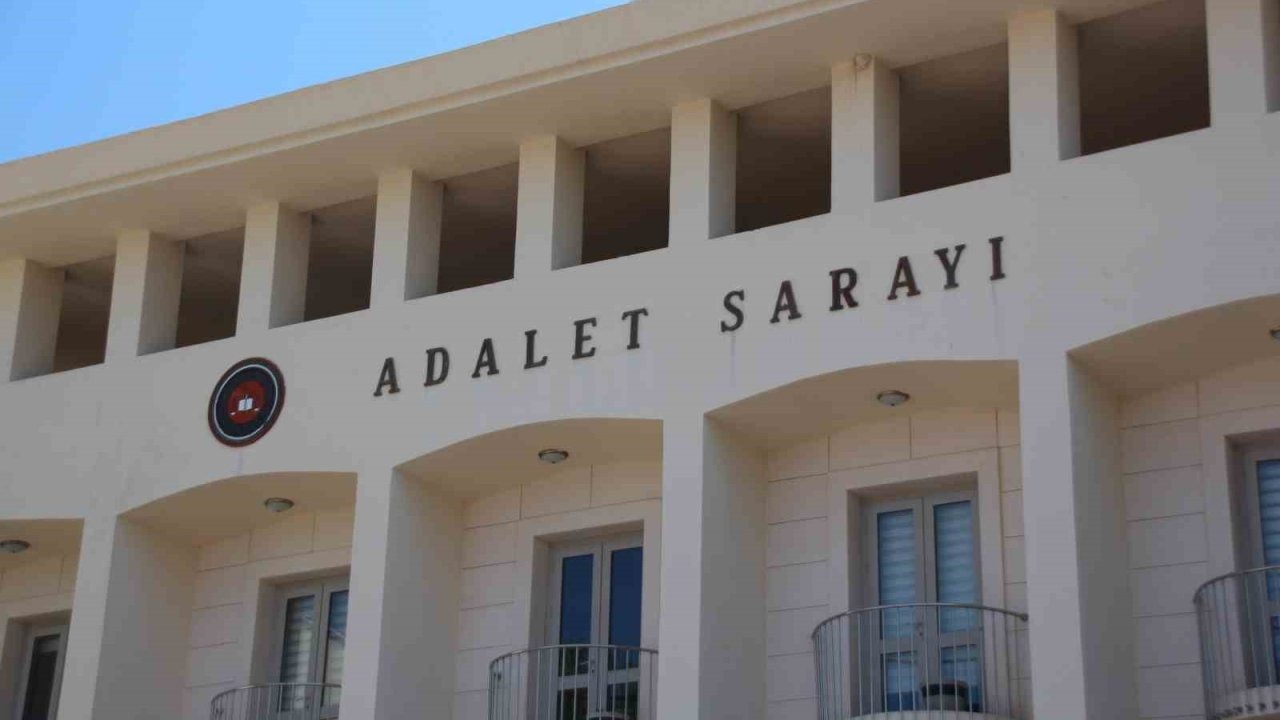 Bodrum'da Yavru Köpeklere Ateş Eden Şahıs Tutuklandı