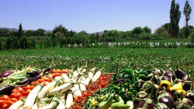 Gıda Ekosistemi "Her Ürün Bir Güven Eseri" Temasıyla Toplandı: Migros'tan Yerel Üretime Destek Çağrısı