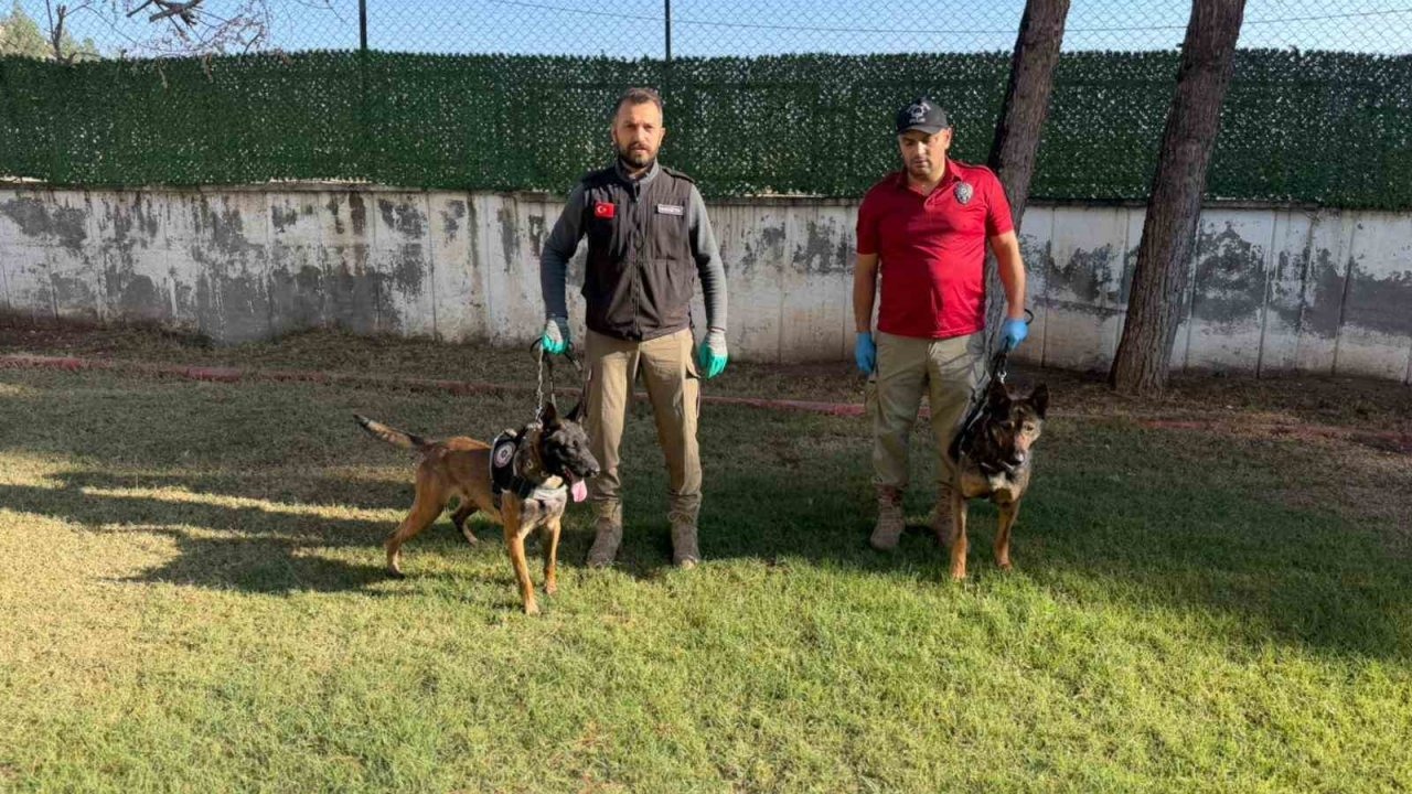 Hector ve Mailo, uyuşturucu tacirlerinin korkulu rüyası oldu