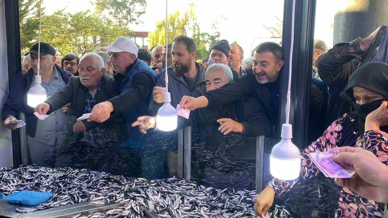 Hopa'da Hamsi Kampanyasına Yoğun İlgi: 3 Ton Hamsi 2 Saatte Tükendi