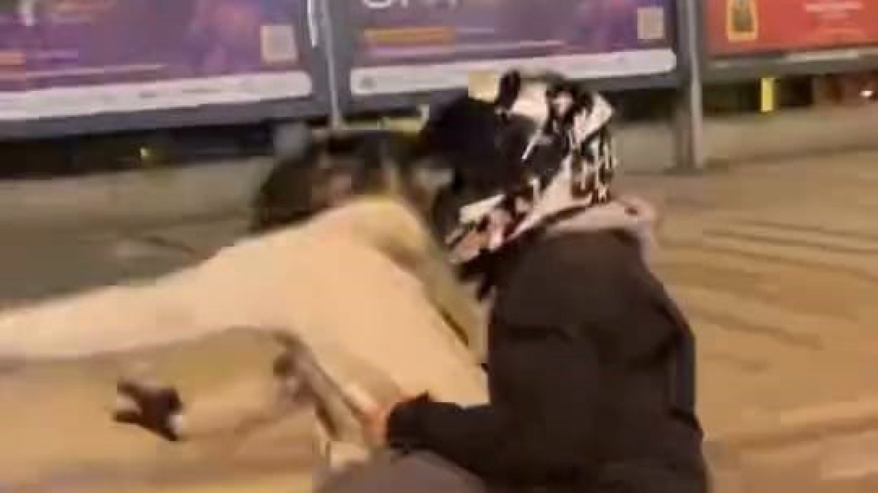 İnegöl'de Tehlikeli Şov Acı Bitti: Motosiklet Tek Teker Yaparken Devrildi, 2 Kişi Savruldu!