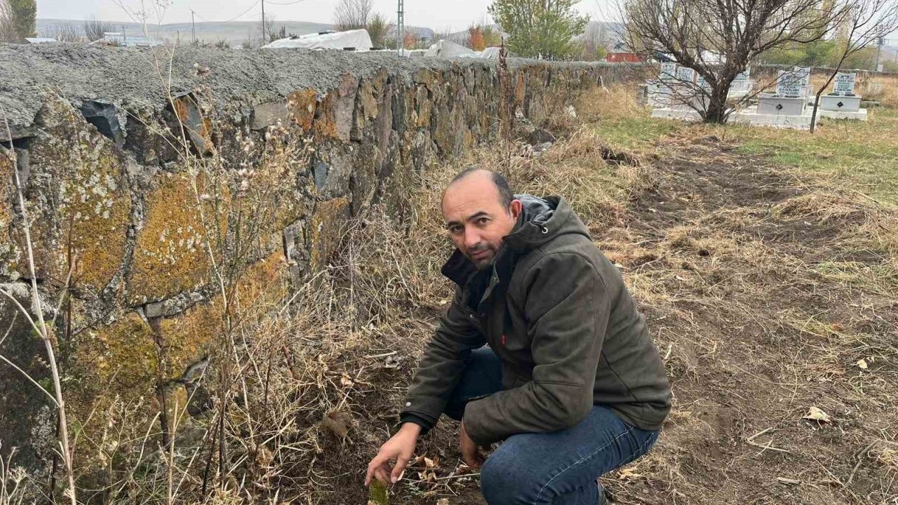 Kars'ta Köy Muhtarından Örnek Davranış: Mezarlık ve Köy Girişleri Bin Fidanla Yeşillendirildi