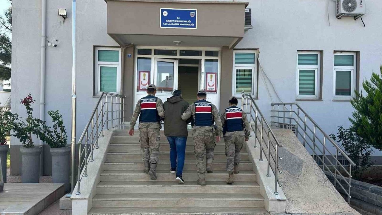 'Kasten Öldürme' Hükümlüsü Jandarma Operasyonuyla Yakalandı