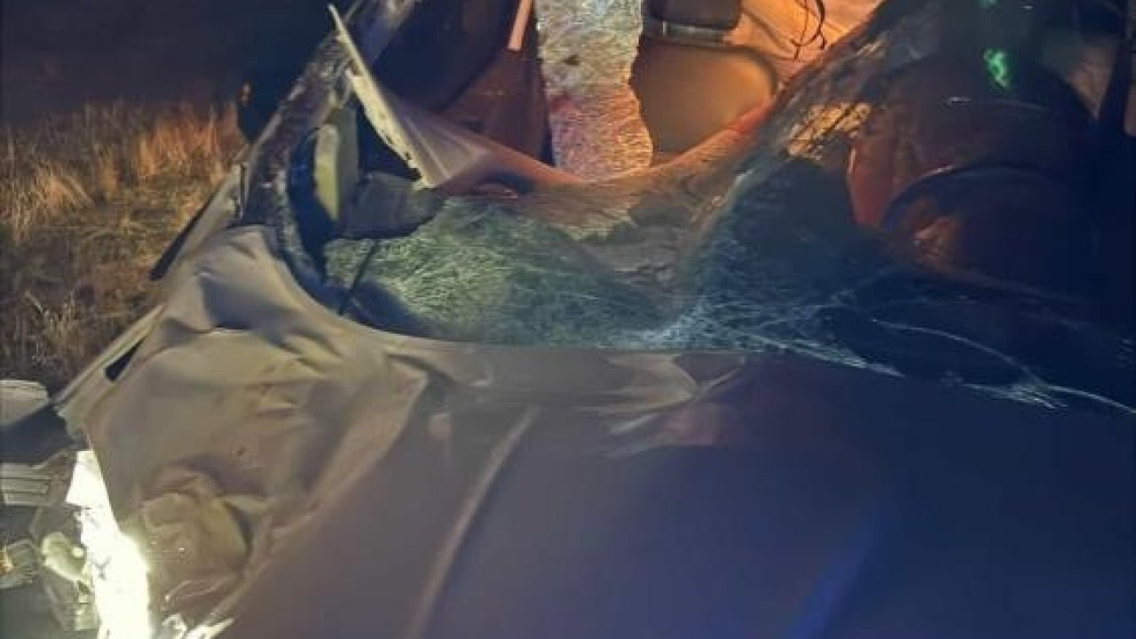 Muş'ta Yol Ortasındaki Ata Çarpan Araç Kazasında 2 Kişi Yaralandı, At Telef Oldu