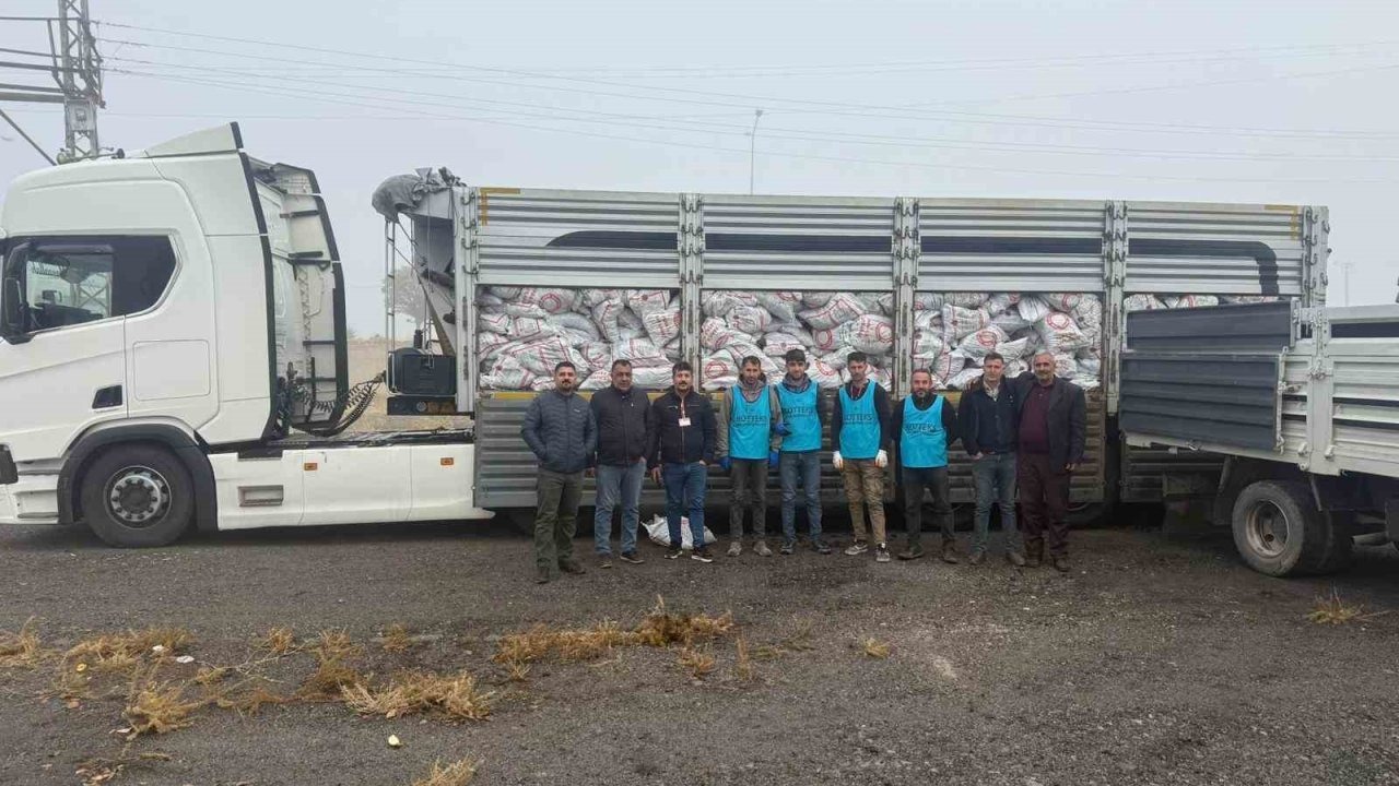 Patnos'ta Kış Öncesi Büyük Kömür Seferberliği: 10 Bin Haneye 14 Bin 500 Ton Kömür Dağıtılıyor