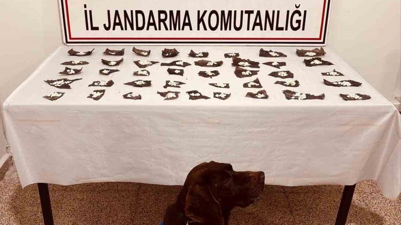 Van Başkale’de 460 Kapsüle Gizlenmiş 171 Gram Bonzai Ele Geçirildi