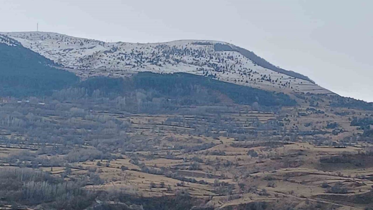 Ardahan Posof'ta Kar Yağışı Etkili Oldu: Dağlar Beyaza Büründü