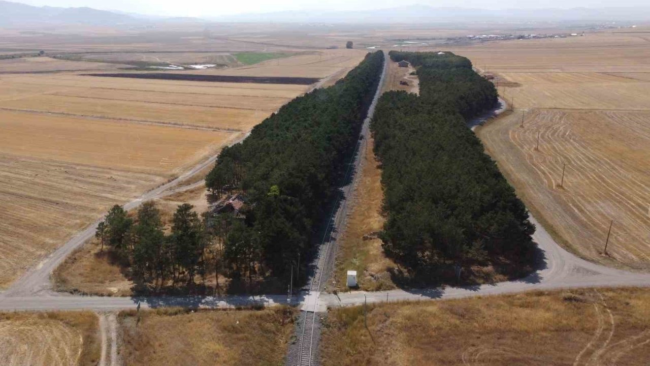 Bozkırın Ortasındaki Vaha: Benliahmet İstasyonu Sonbaharda Görsel Şölen Sunuyor