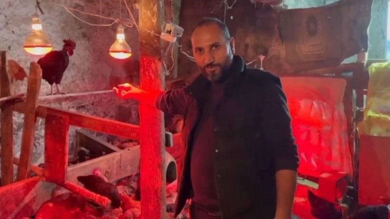 Kars’ta Müzikli Kümes Dönemi: Tavuklar Dinleniyor, Verim Artıyor