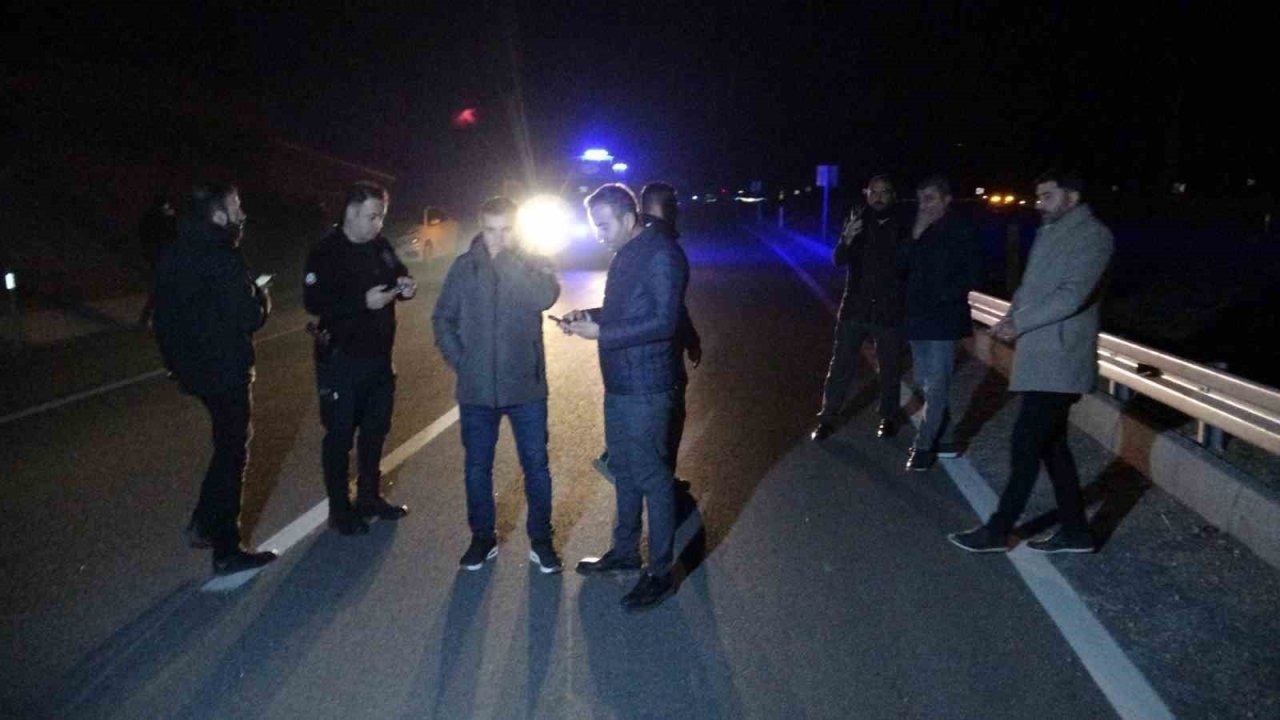 Malatya’da kaçan yarış atları karayoluna çıktı: 6 at telef oldu, 2 kişi yaralandı