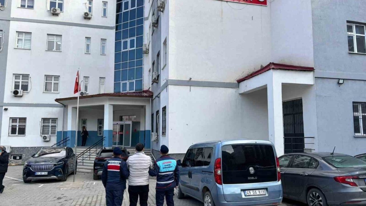 Muş’ta Jandarmadan Dolandırıcılık Hükümlüsüne Operasyon