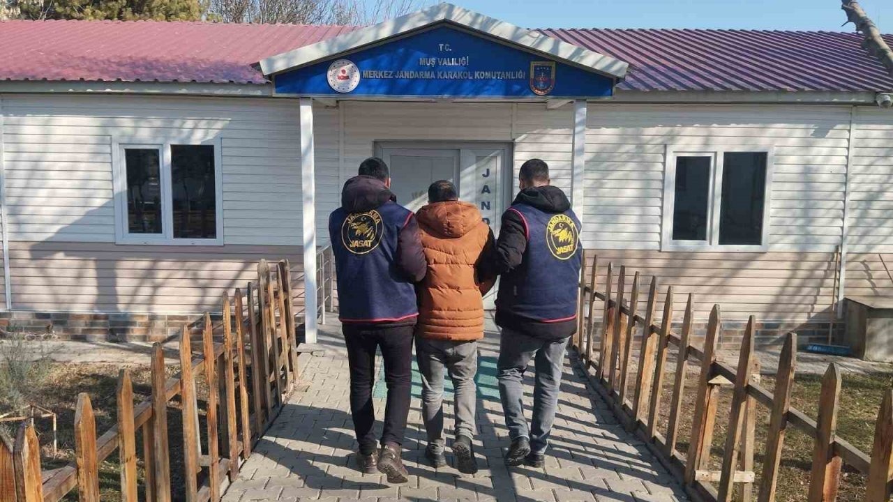 Muş'ta JASAT'tan Kaçış Yok: Aranan Şahıs Yakalandı