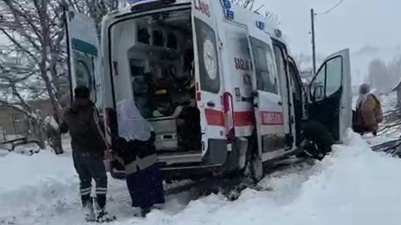 Muş'ta Kar Esaretinde Mucize Doğum: Ekipler Seferber Oldu
