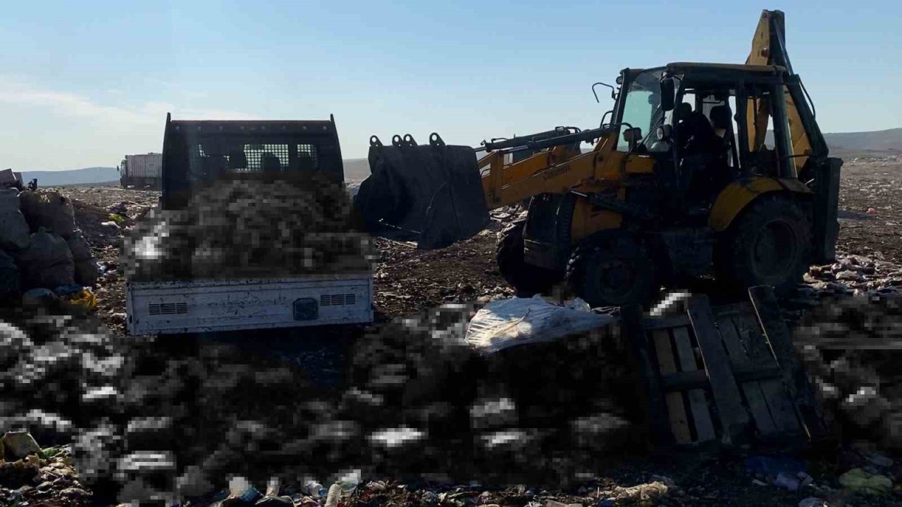 Şanlıurfa’da tarihi geçmiş 8 bin şişe meşrubat ele geçirildi