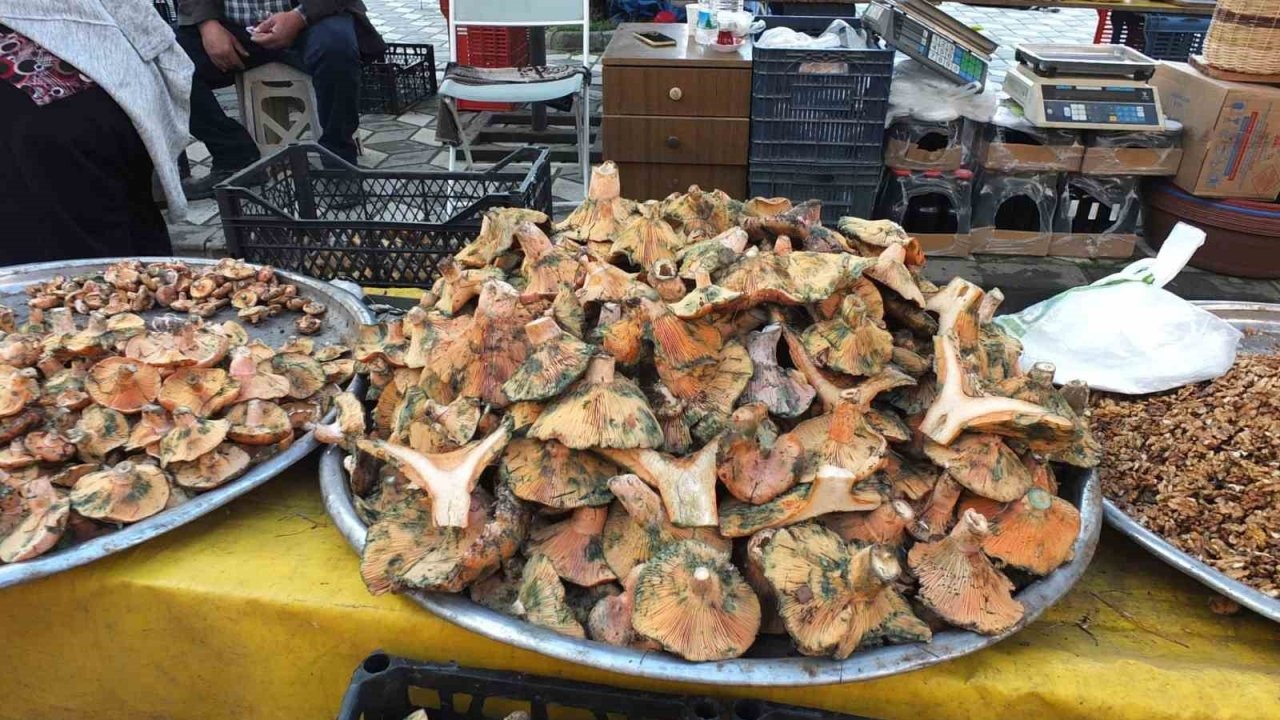 Yağışlar Melki Mantarını Coşturdu: Madra Dağı'nda Geçim Kaynağı Oldu
