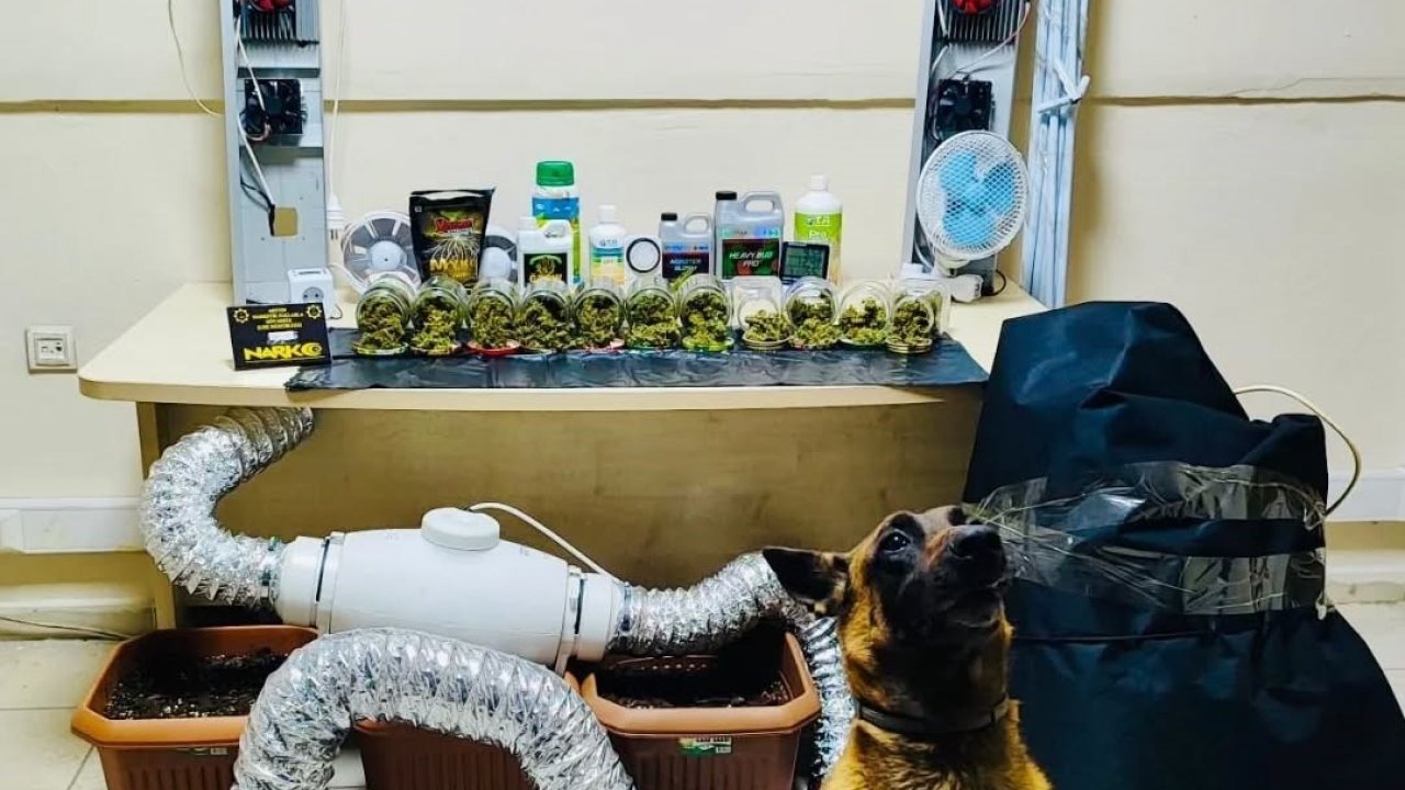 Artvin’de uyuşturucu madde ve yetiştirme düzeneği ele geçirildi