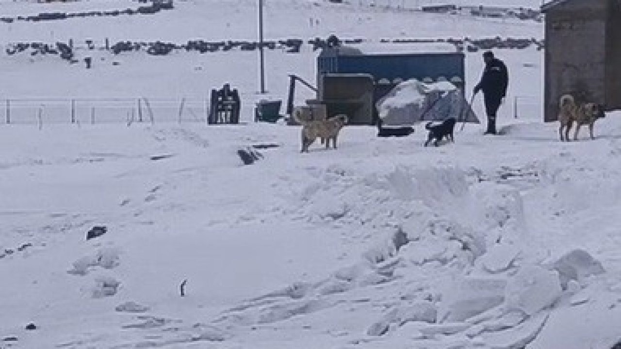 Kars’ta Eksi 28 Derecede Işık Mücadelesi: Vahşi Doğaya Karşı Nöbetli Arıza Mesaisi