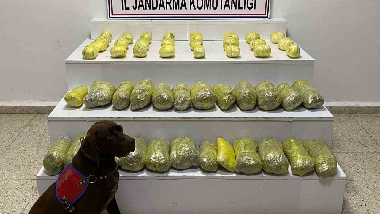 Başkale’de Büyük Uyuşturucu Operasyonu: 42 Kilo Madde Ele Geçirildi