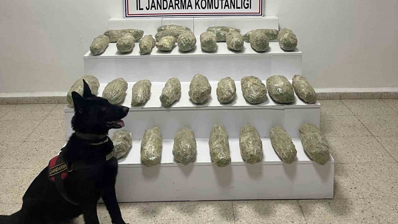 Başkale’de Uyuşturucu Operasyonu: 21 Kilodan Fazla Skunk Ele Geçirildi