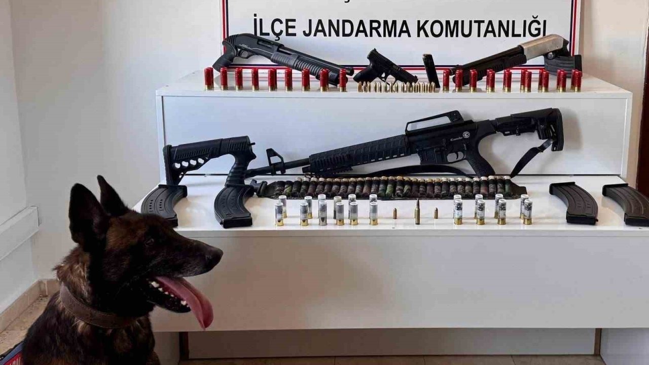 Erciş’te Silah Operasyonu: Çok Sayıda Ruhsatsız Silah Ele Geçirildi