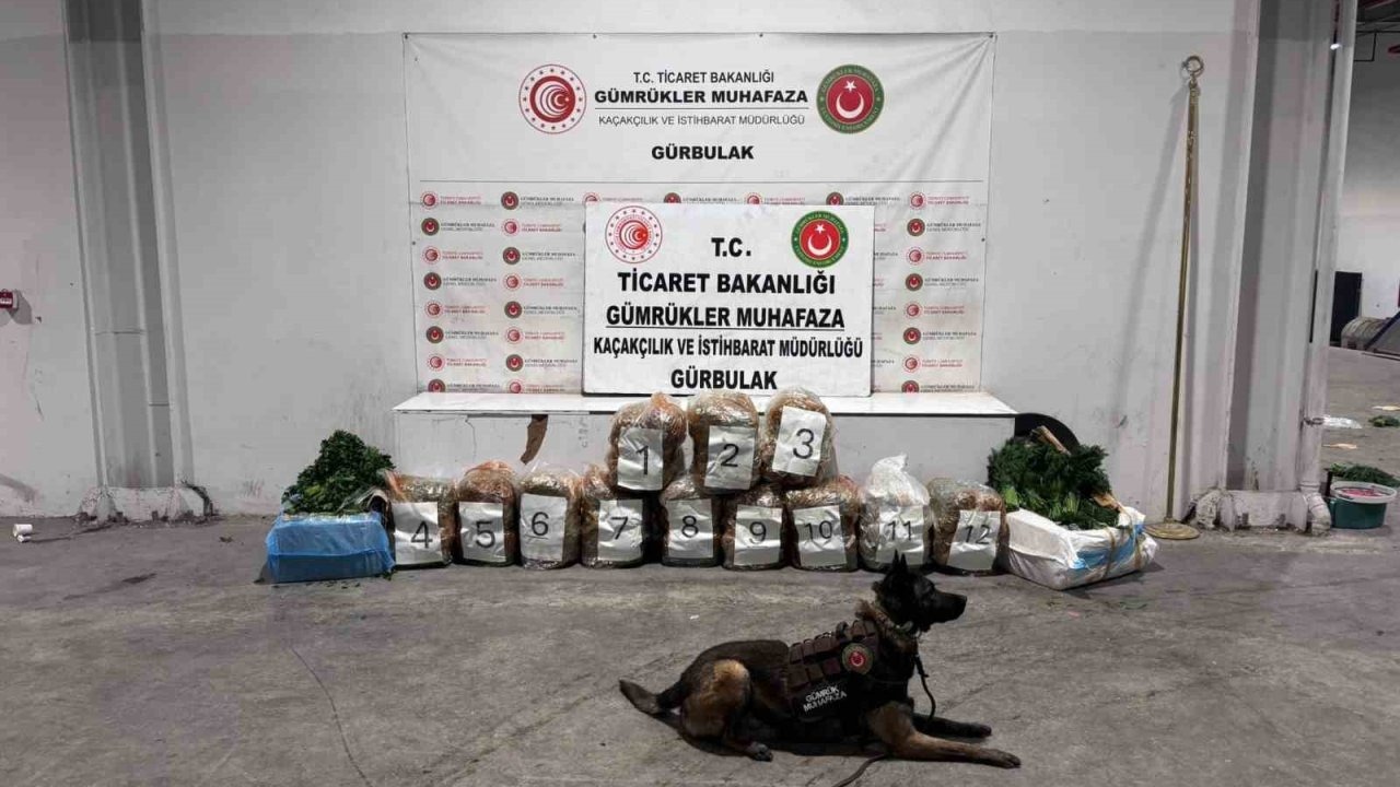 Gürbulak Sınır Kapısı’nda Sebze Yüklü Tırda Uyuşturucu Operasyonu