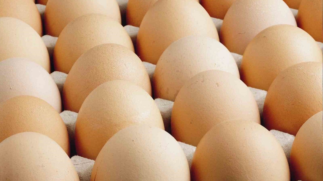 Türkiye’nin Yumurta Üretimi Yıllık Bazda Geriledi: Kişi Başına 15 Adet Azaldı