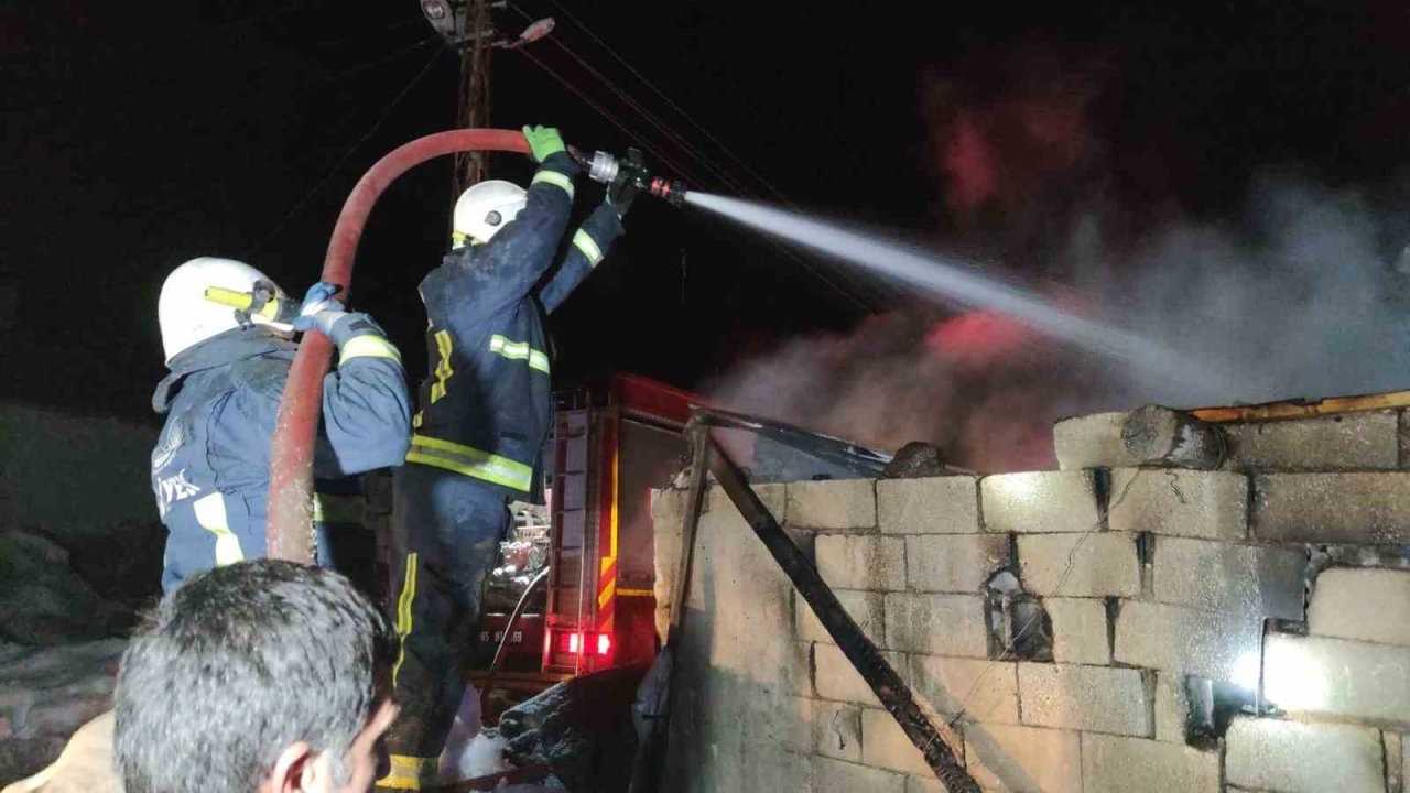 Van’da Ahır Yangınında 3 İnek Son Anda Telef Olmaktan Kurtarıldı