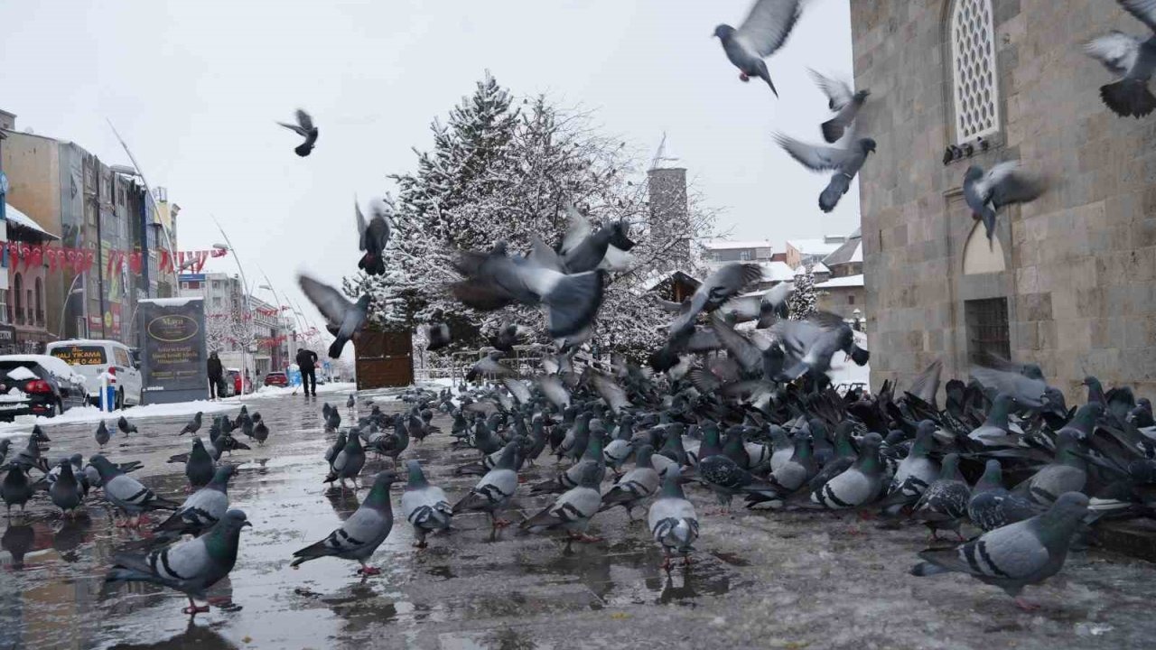 Dikkat! Meteoroloji Bölge İçin Alarm Verdi: Çığ ve Don Uyarısı