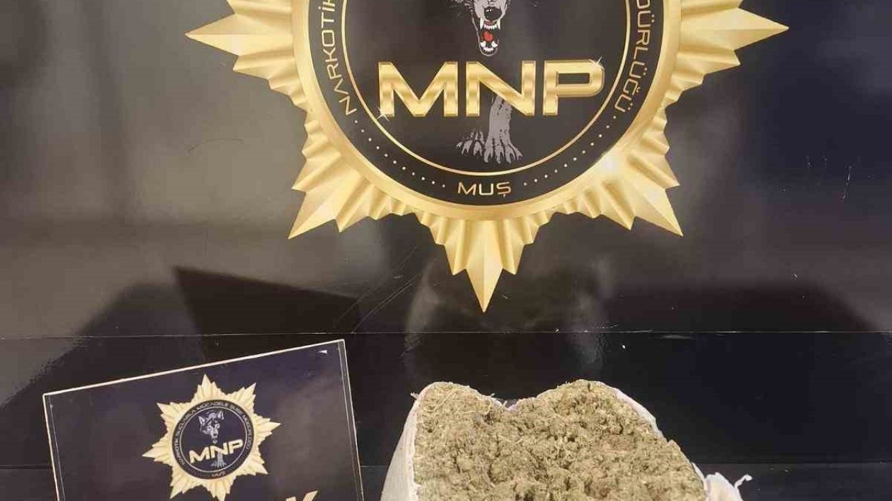 Muş’ta Yolcu Otobüsünde Skunk Operasyonu: 2 Kilo Uyuşturucu Ele Geçirildi