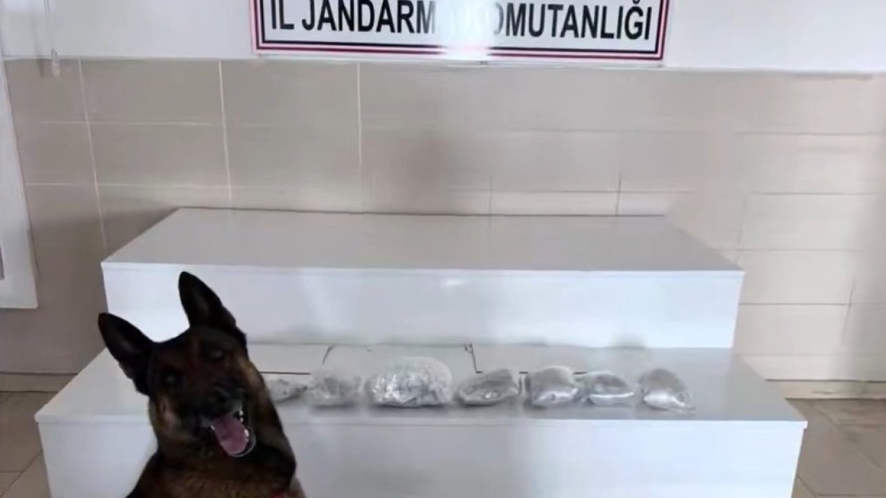 Van ve Hakkari’de Zehir Tacirlerine Büyük Darbe: 320 Kilogram Uyuşturucu Ele Geçirildi