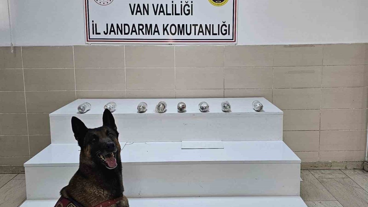 Yol Kontrolünde Yakayı Ele Verdi: Gevaş’ta Kilolarca Esrar Maddesi Yakalandı