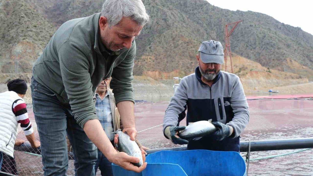 Erzurum’un Oltu İlçesinde Ayvalı Barajı’ndan Dev Balık Üretimi Hamlesi