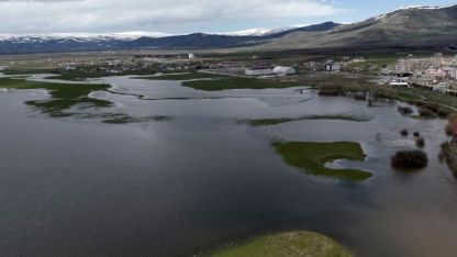 Ardahan Ovası Göle Döndü: Kura Nehri Taştı, Tarım Arazileri Sualtı Kaldı