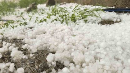 Muş'ta Dolu Yağışı Hayatı Olumsuz Etkiledi: Cadde ve Sokaklar Buzla Kaplandı
