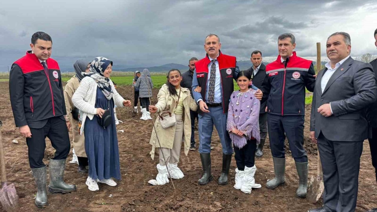 Ağrı'da Tarımsal Atılım: 2 Bin 500 Çiftçiye Yüzde 75 Hibeli 50 Bin Meyve Fidanı Dağıtıldı