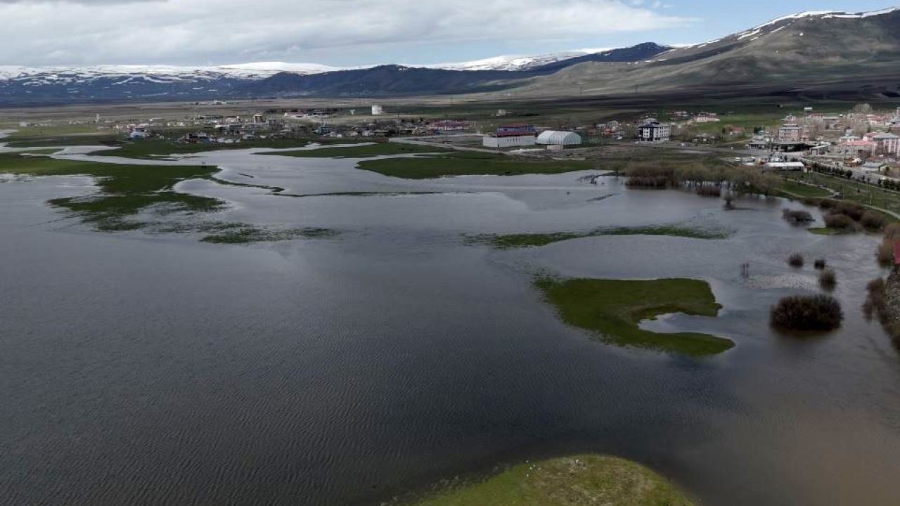Ardahan Ovası Göle Döndü: Kura Nehri Taştı, Tarım Arazileri Sualtı Kaldı