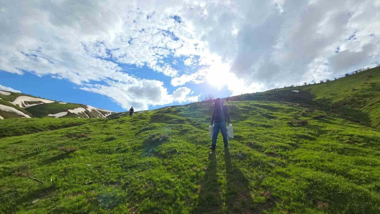 Bitlis’te Dağlarda Çiriş Otu Mesaisi: Karlar Eridi, Şifa Gün Yüzüne Çıktı